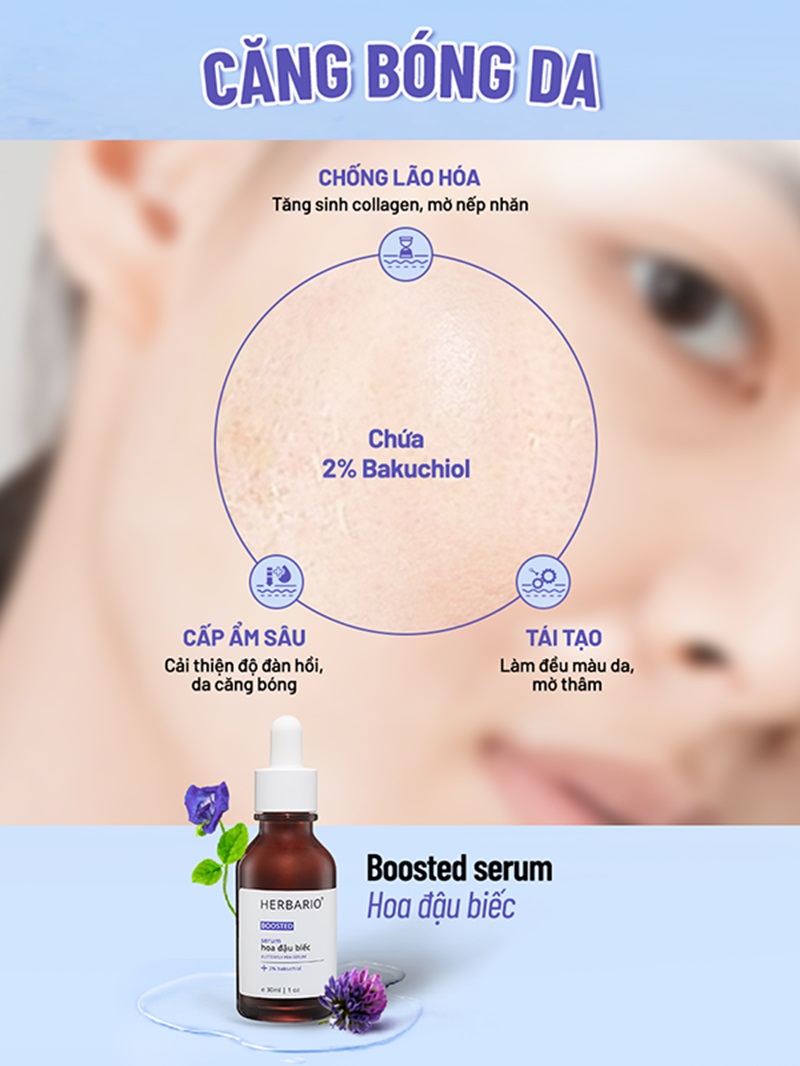 Boosted serum hoa đậu biếc Herbario boosted serum hoa dau biec herbario