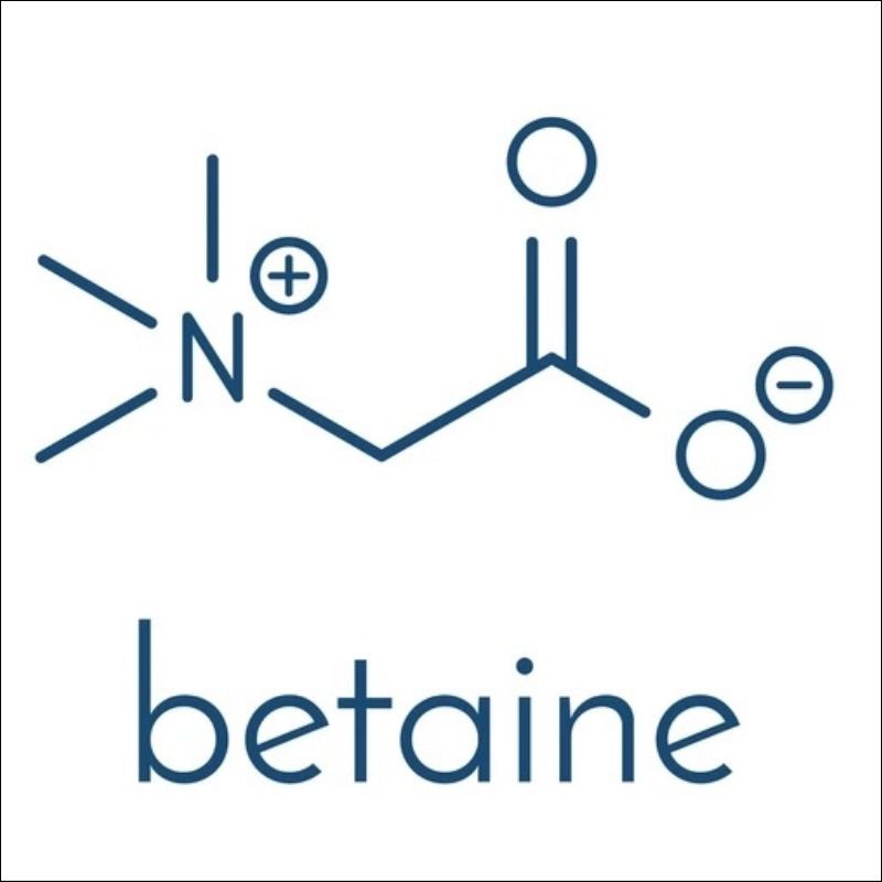 betaine betaine