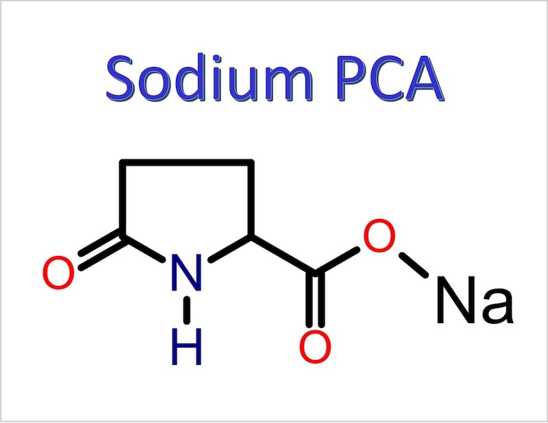 Sodium PCA Thành phần Gel tắm đường thốt nốt An Giang Cocoon Sodium PCA