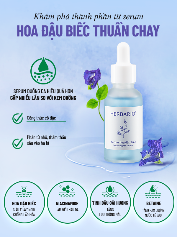 thanh phan serum rau ma diep ca herbario