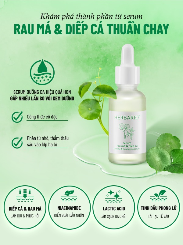 thanh pham serum rau ma diep ca herbario