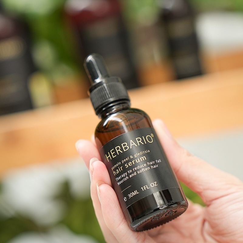 serum vo buoi bo ket herbario