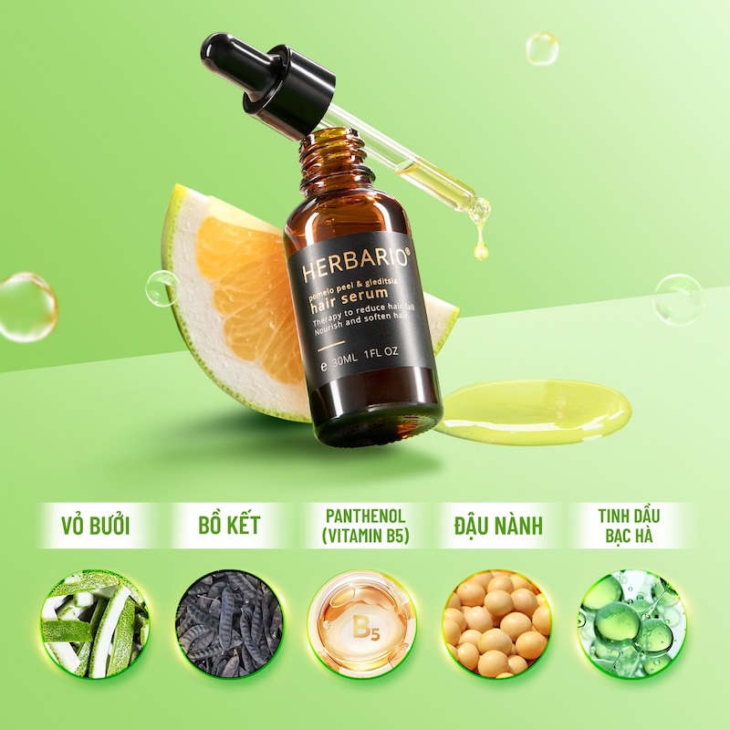 serum vo buoi bo ket herbario