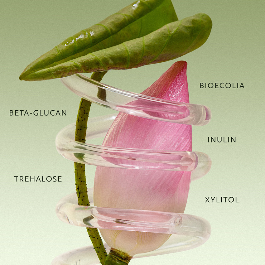 nuoc-tay-trang-sen-hau-giang nuoc-tay-trang-sen-hau-giang