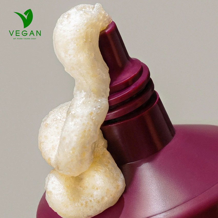 tay-chet-da-dau-bo-ket