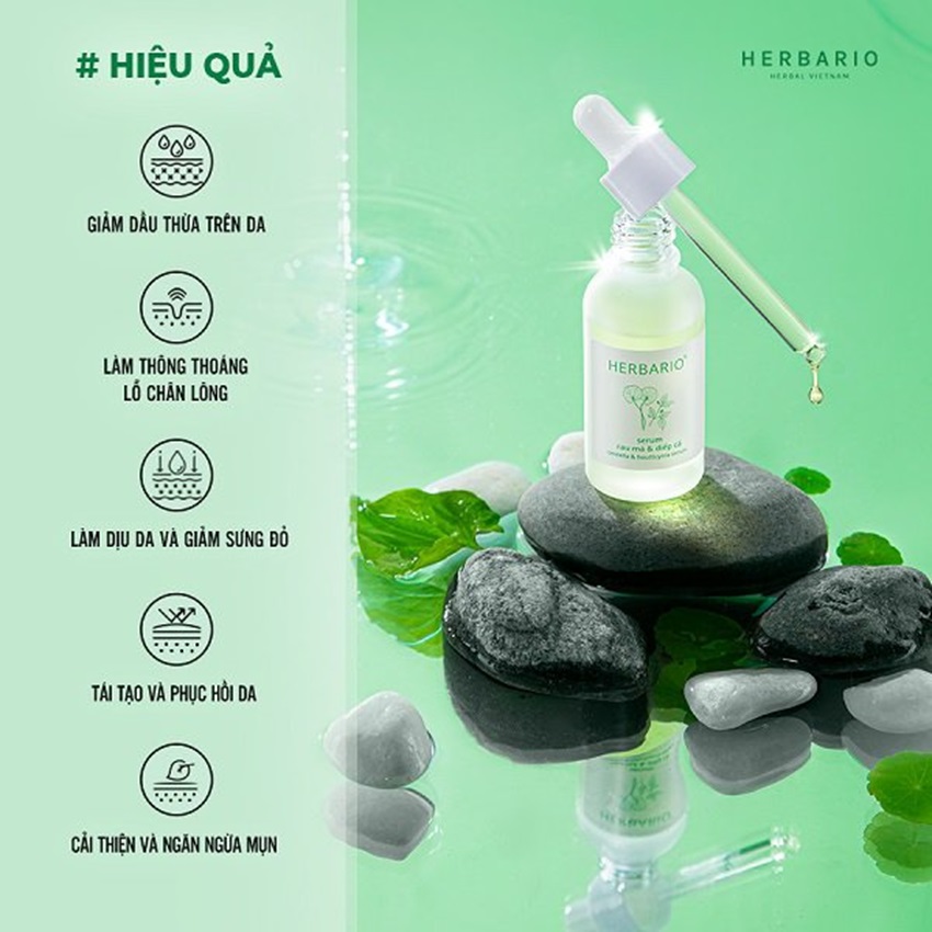serum rau ma diep ca herbario serum rau ma diep ca herbario