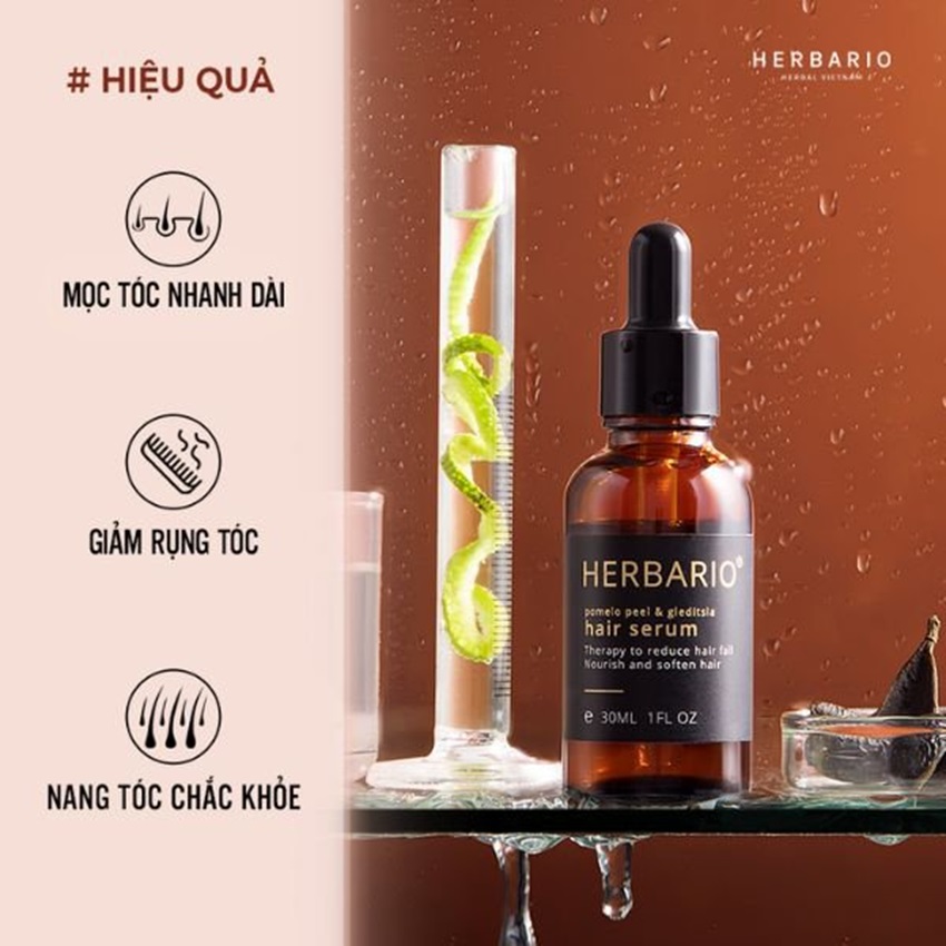 serum toc herbario