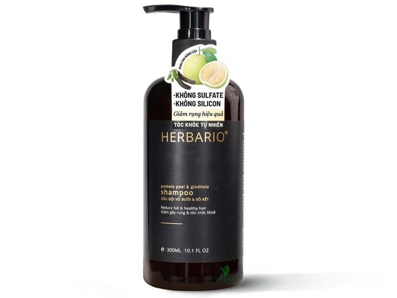 dau goi khong sulfate cho toc yeu gay rung