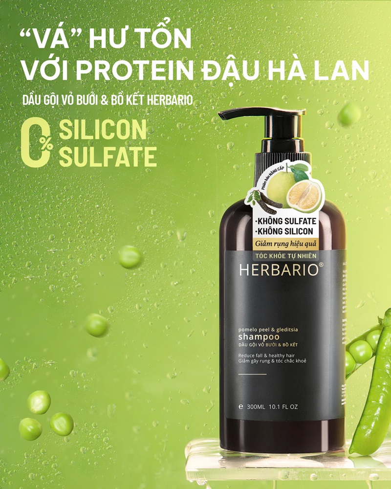 dau goi khong sulfate khong silicon herbario