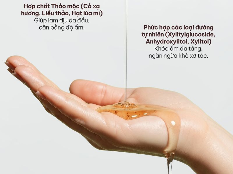 dau goi vua khong co silicon va sulfate