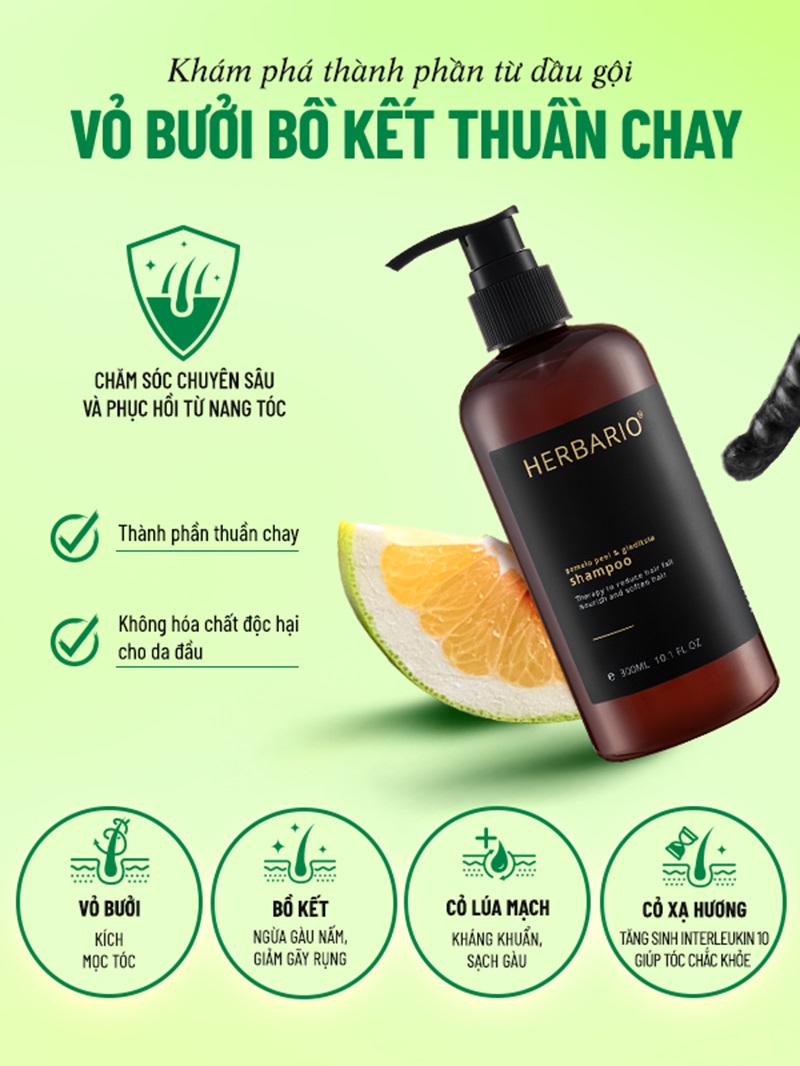 dau goi vo buoi bo ket Herbario ban cu