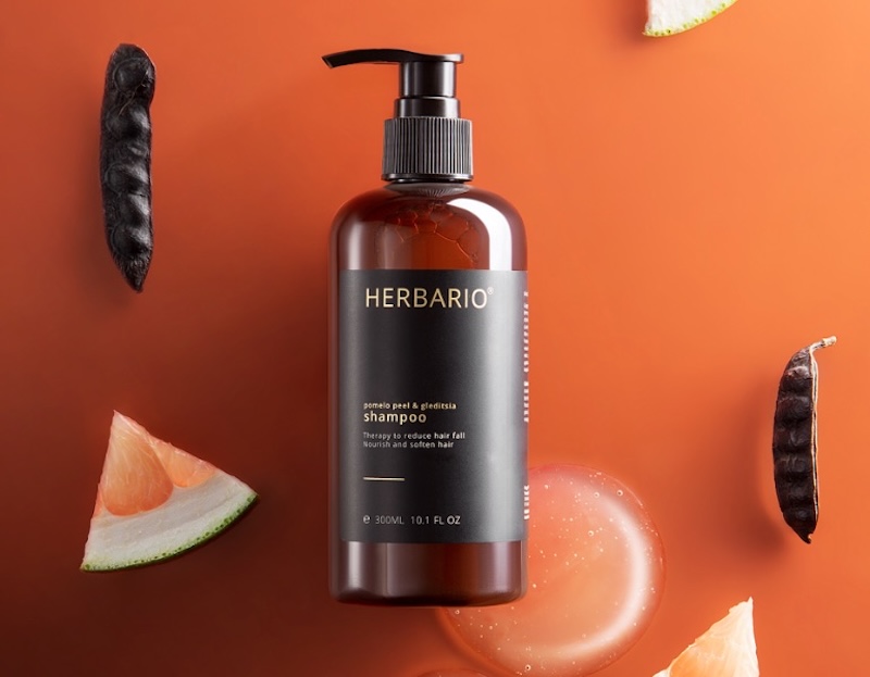 dau goi vo buoi bo ket Herbario