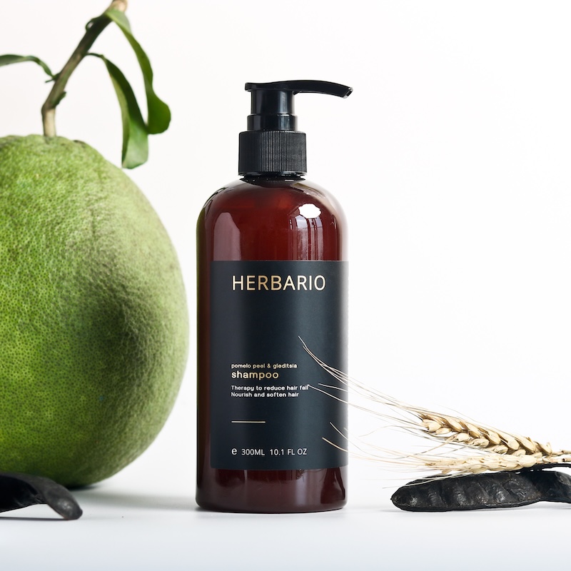 dau goi vo buoi bo ket Herbario