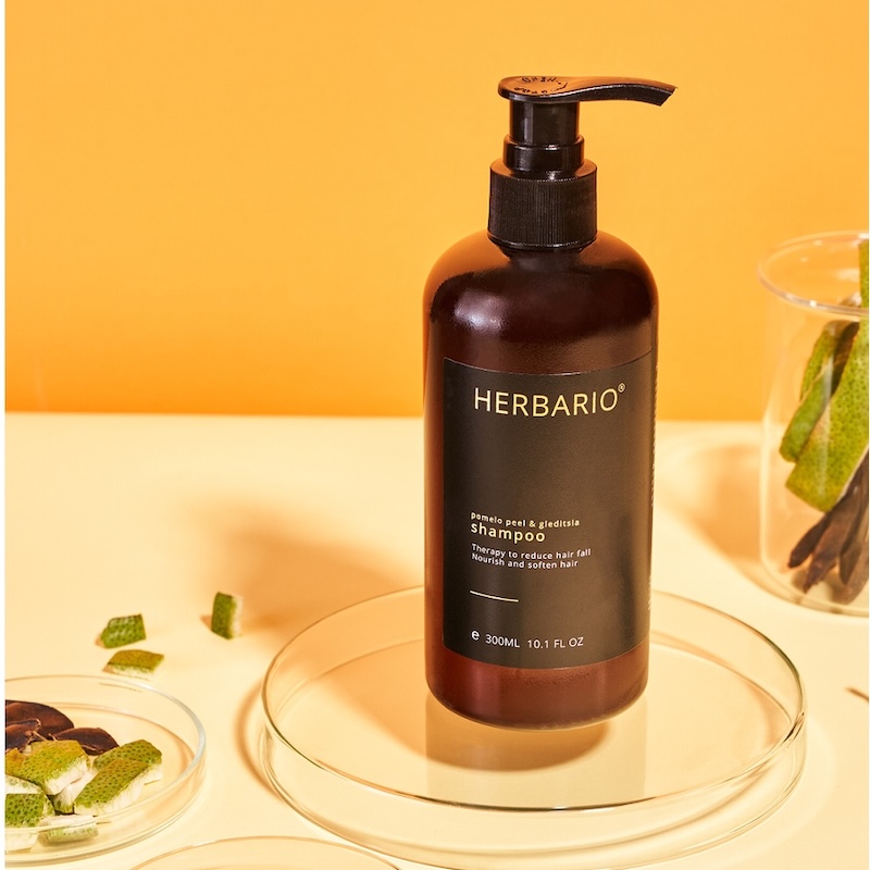 dau goi vo buoi bo ket Herbario