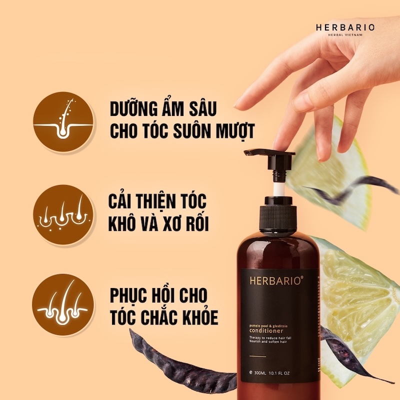 cong dung cua dau xa vo buoi bo ket herbario