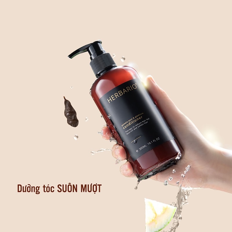 dau xa vo buoi bo ket herbario