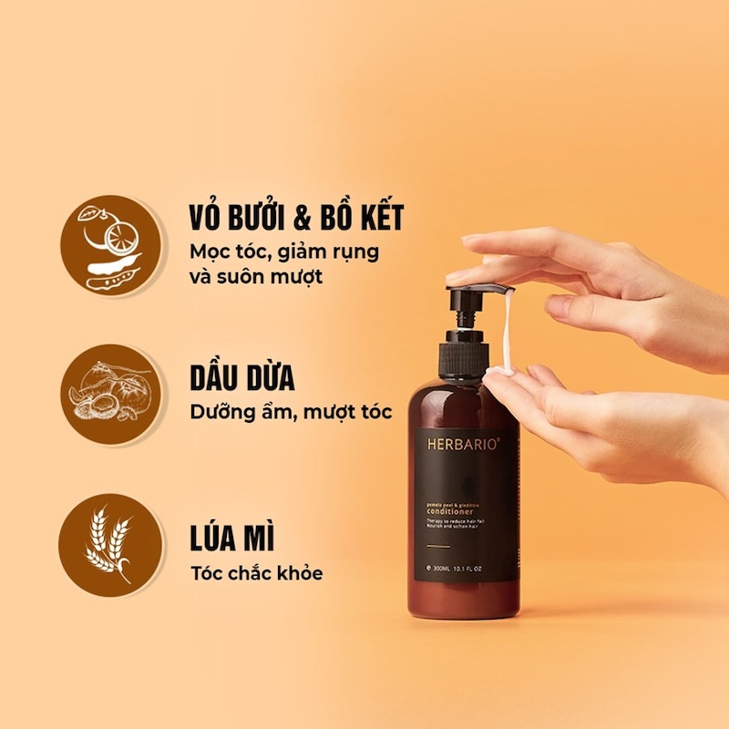 thanh phan dau xa vo buoi bo ket herbario