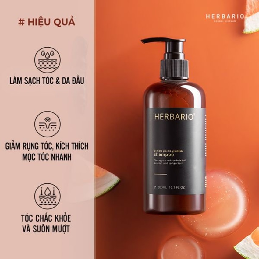 dau goi buoi bo ket herbario dau goi buoi bo ket herbario