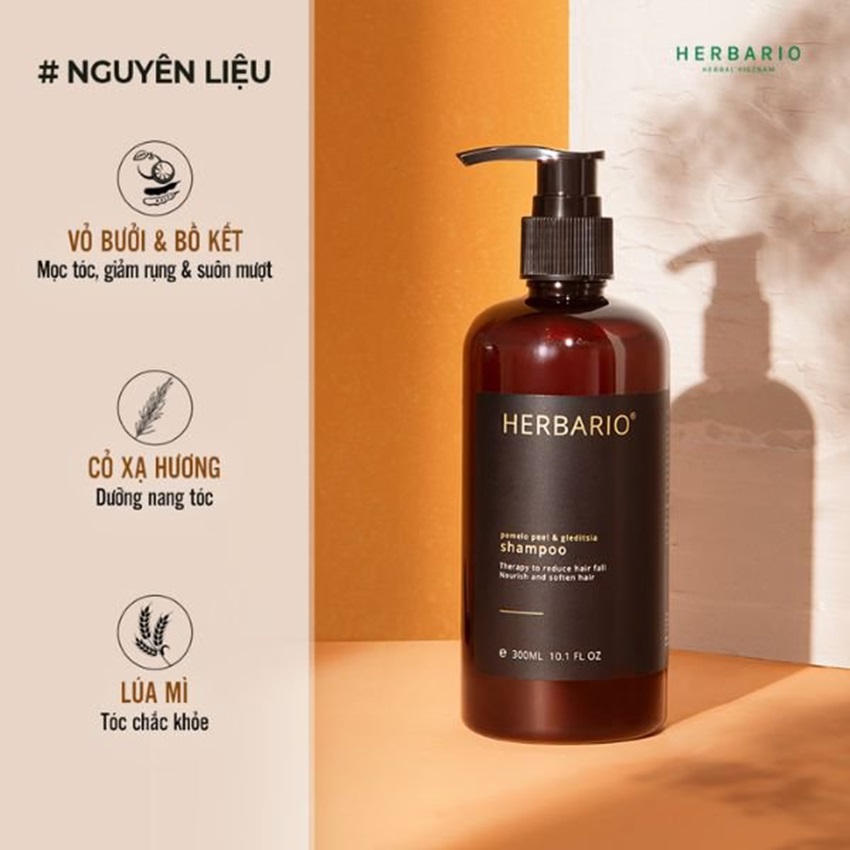 dau goi buoi bo ket herbario dau goi buoi bo ket herbario