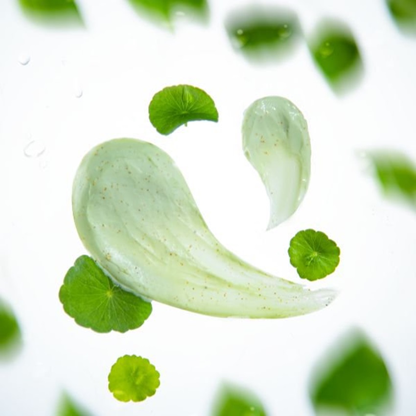 mat na rau ma diep ca Herbario