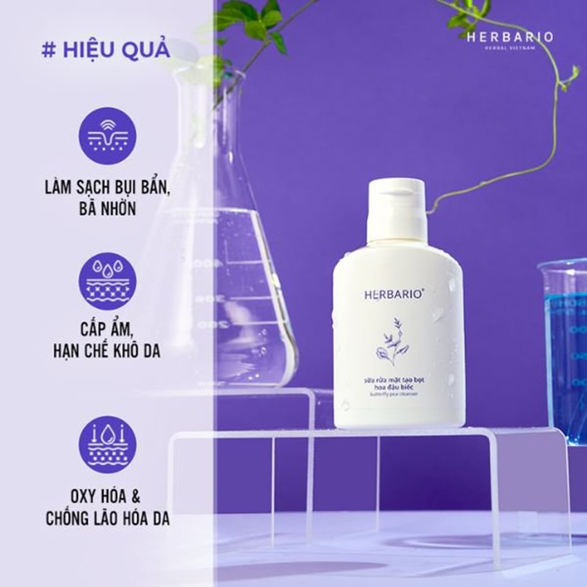 srm-tao-bot-hoa-dau-biec-herbario