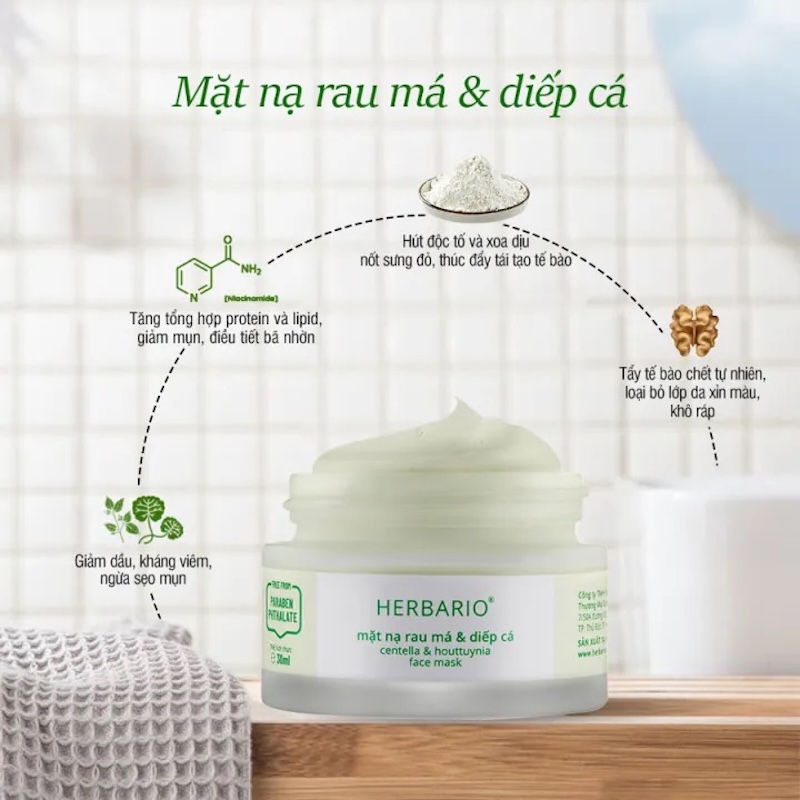 cong dung mat na rau ma diep ca herbario