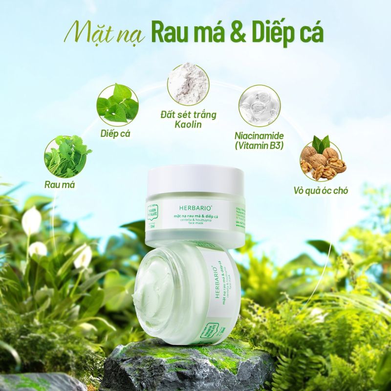 Thanh phan mat na rau ma diep ca Herbario