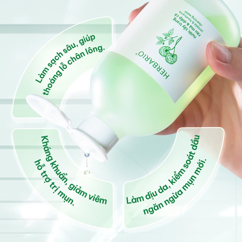 nuoc tay trang rau ma diep ca herbario