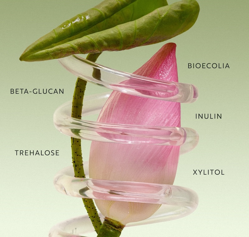 Nước tẩy trang Sen Hậu Giang Cocoon nuoc tay trang sen hau giang Cocoon