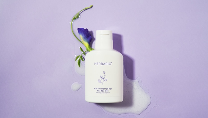 sua rua mat tao bot hoa dau biec herbario