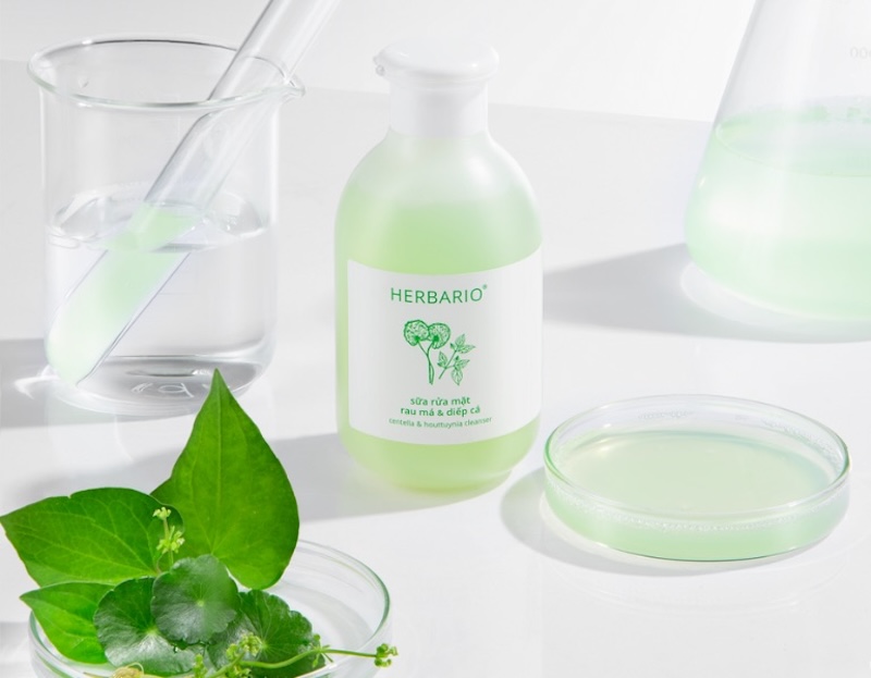 sua rua mat rau ma diep ca herbairo