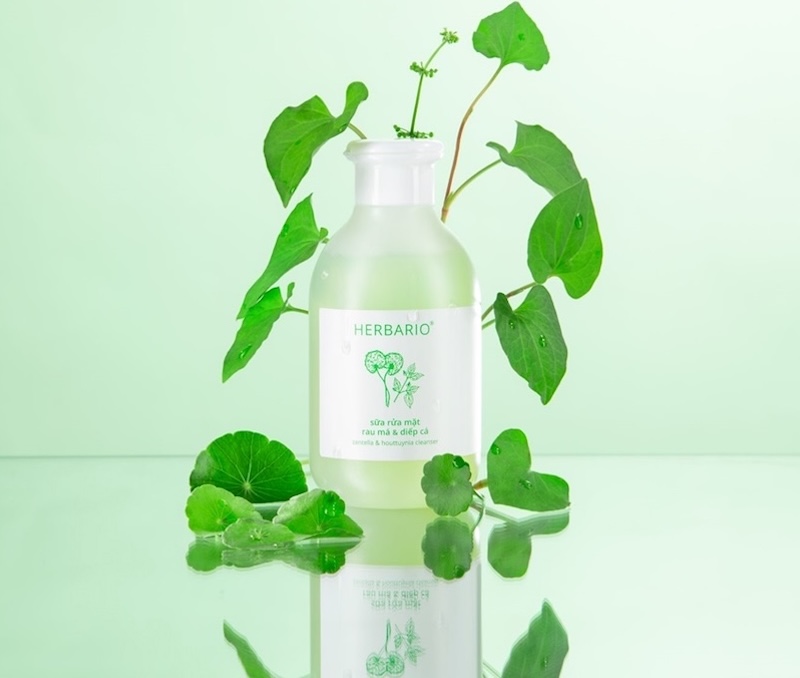 sua rua mat tao bot hoa dau biec herbario