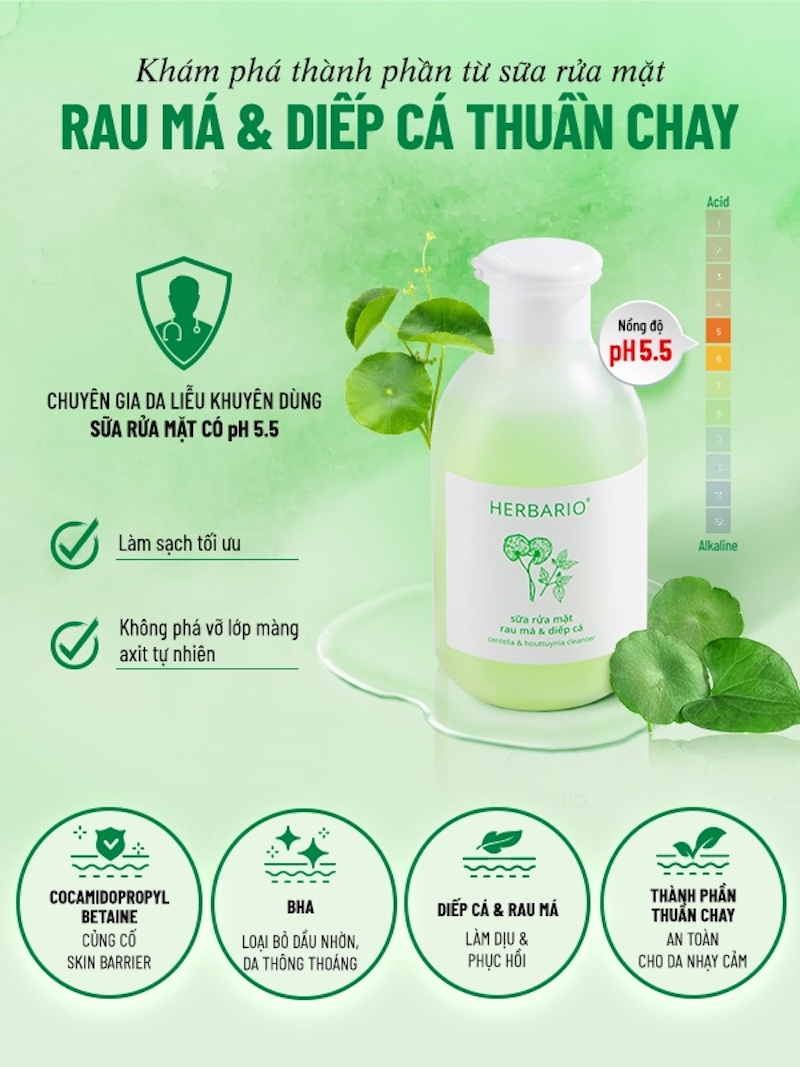 sua rua mat rau ma diep ca herbario