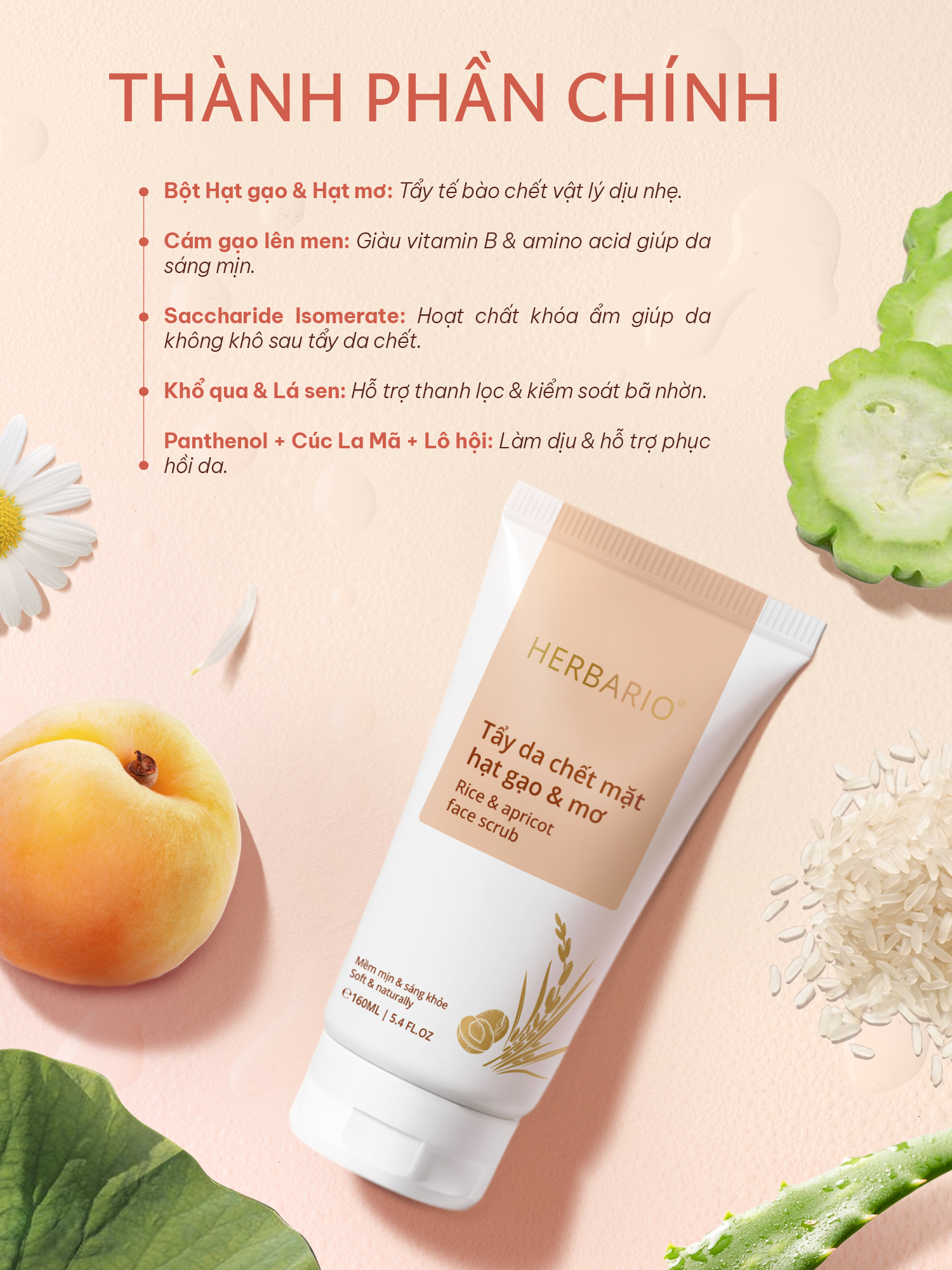 thành phần của tẩy da chết mặt hạt gạo & mơ thanh phan tay da chet duong thot not an giang cocoon