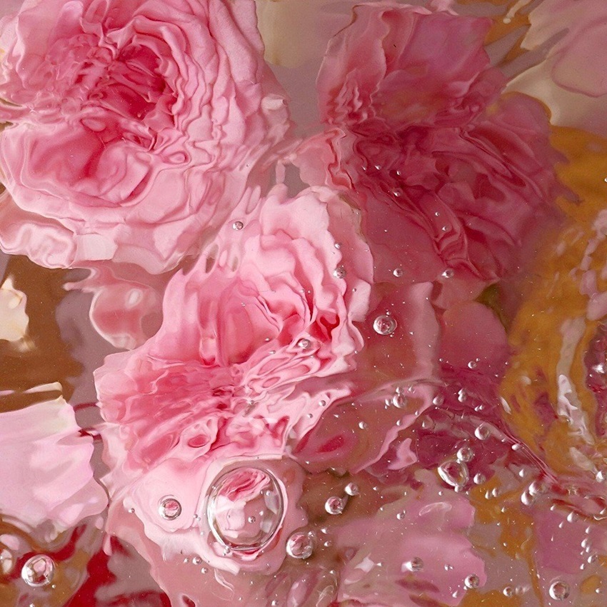 thành phần của Nước tẩy trang hoa hồng Cocoon nuoc tay trang hoa hong cocoon