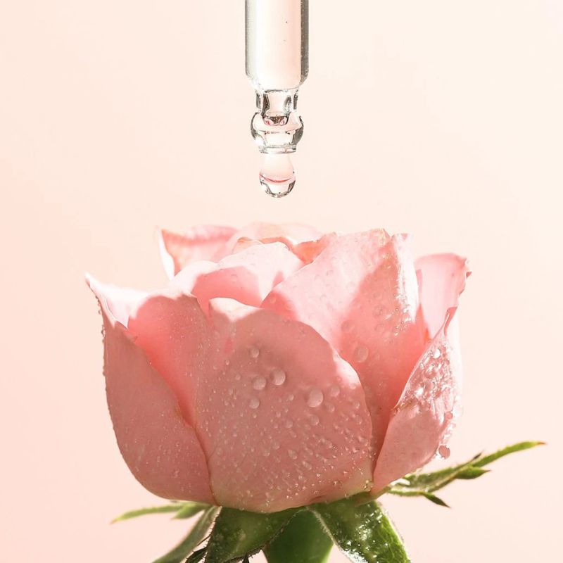 tinh chat hoa hong cocoon thuan chay