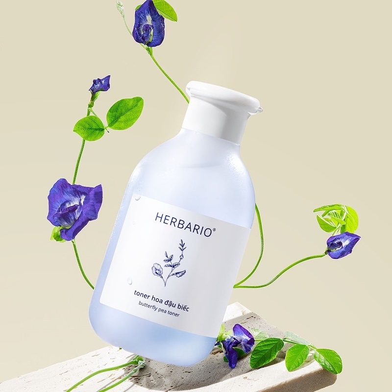 toner hoa dau biec Herbario