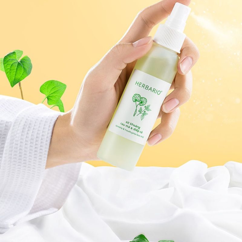 xit khoang rau ma diep ca herbario