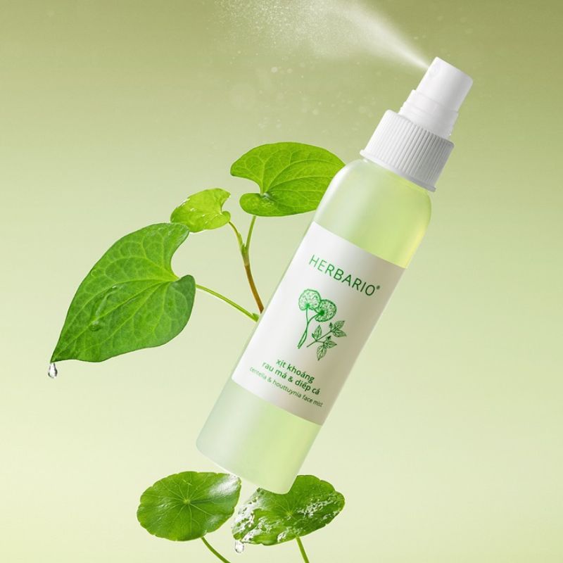 xit khoang rau ma diep ca herbario