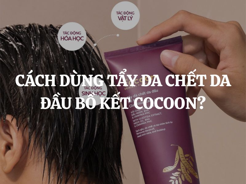 Cách dùng Tẩy da chết da đầu bồ kết Cocoon đúng chuẩn cho hiệu quả tối ưu
