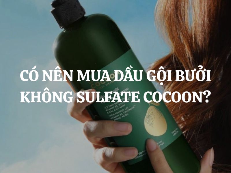 Có nên mua dầu gội bưởi không sulfate Cocoon? Giải pháp giảm rụng tóc hiệu quả