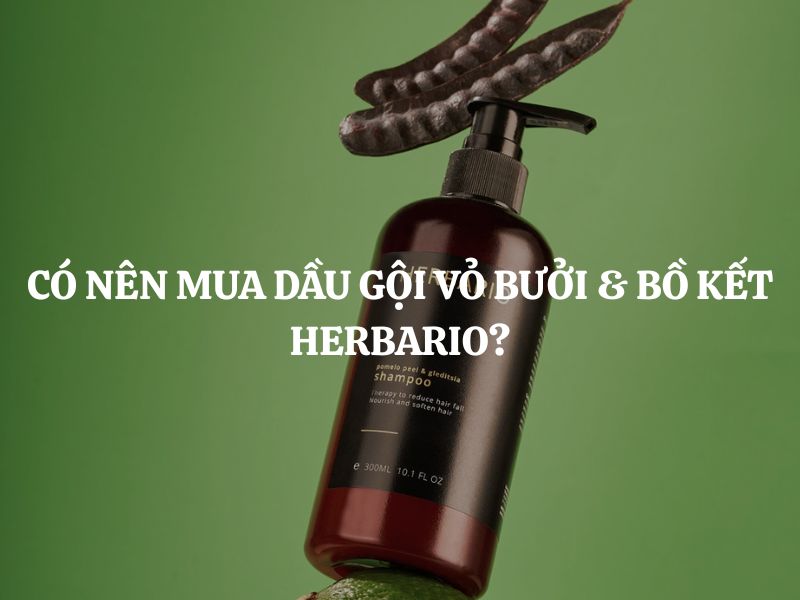 Có nên mua Dầu gội vỏ bưởi & bồ kết Herbario? Đánh giá chi tiết từ A–Z