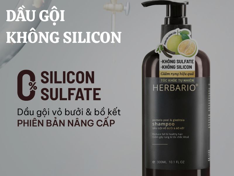 Dầu gội không Silicon là gì? Có gì khác biệt so với các loại dầu gội khác?