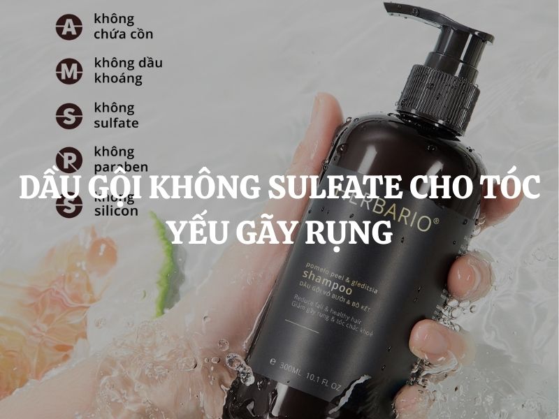 Dầu gội không sulfate cho tóc yếu gãy rụng loại nào tốt, đáng mua nhất?