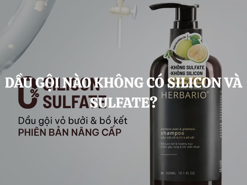 Dầu gội nào không có Silicon và Sulfate tốt cho da đầu nhạy cảm?