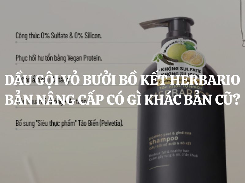 Dầu gội vỏ bưởi bồ kết Herbario bản nâng cấp khác gì bản cũ?