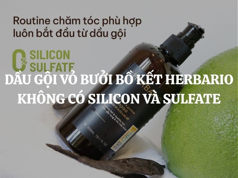 Dầu gội vỏ bưởi bồ kết Herbario không có silicon và sulfate an toàn cho da đầu