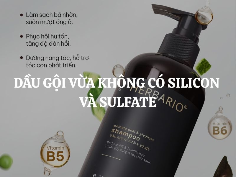 Dầu gội vừa không có Silicon và Sulfate - Giải pháp làm sạch tóc bền vững từ gốc