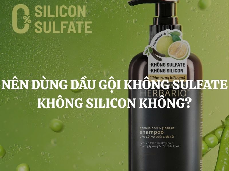 Giải đáp thắc mắc: Có nên dùng dầu gội không sulfate không silicon không?