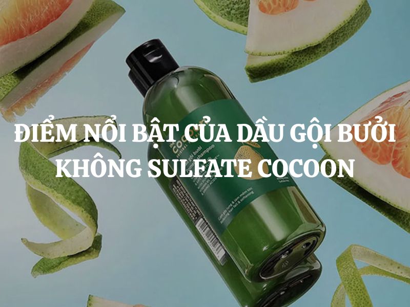 Giải mã những điểm nổi bật của dầu gội bưởi không sulfate Cocoon thuần chay